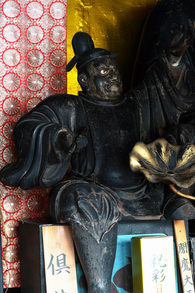 腖���_�䐶�_