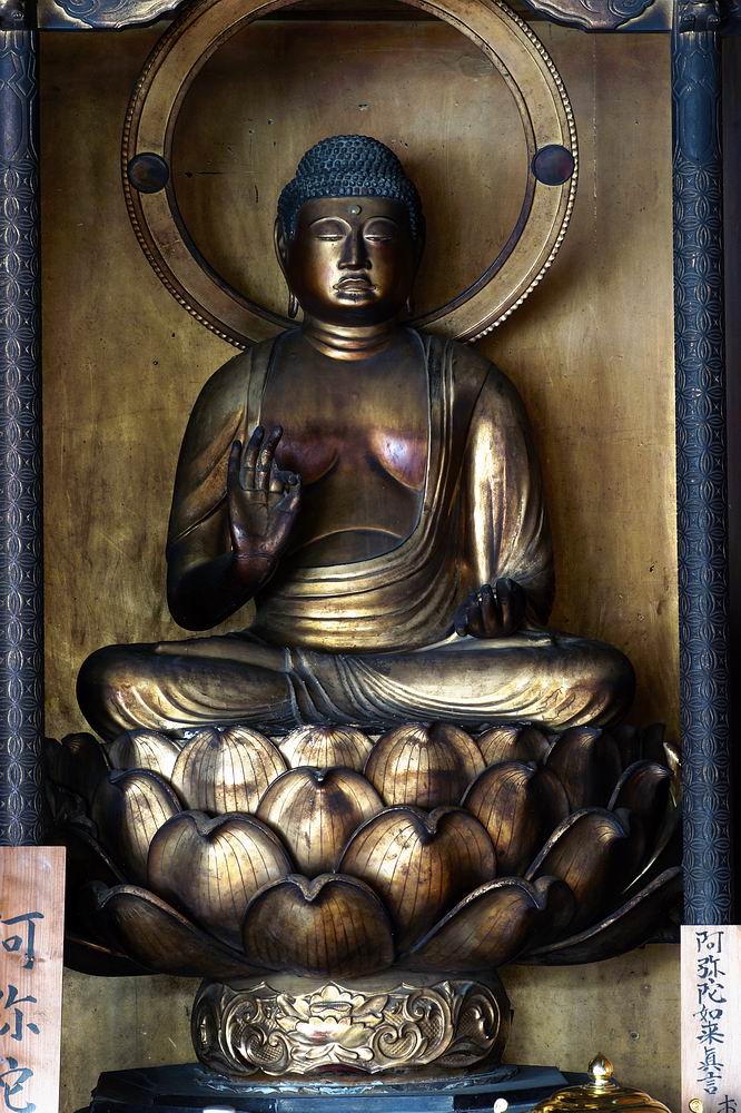 腖���_����ɔ@��