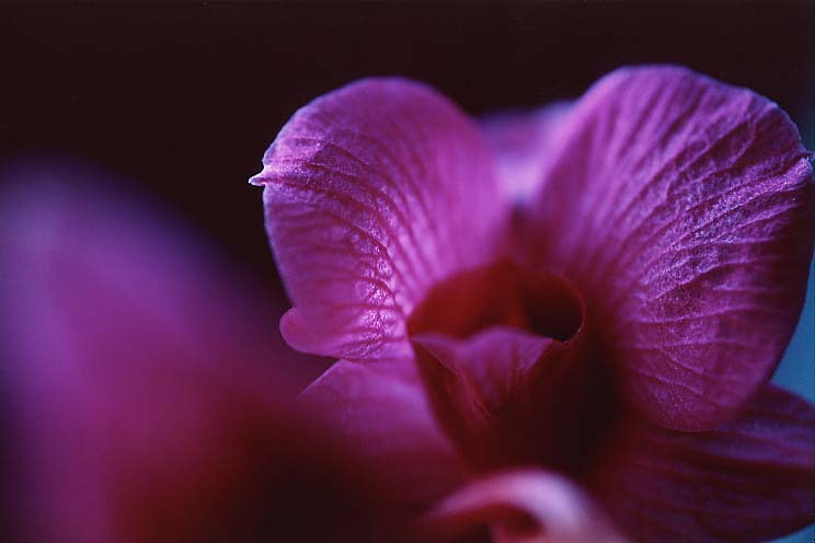 �f���t�@��