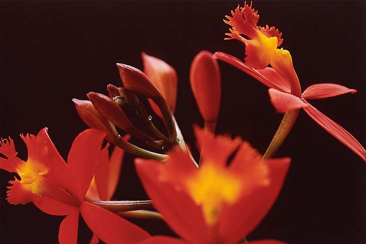 �G�s�f���h����