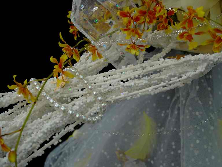 �t�����[�h�[���Q�O�O�Q