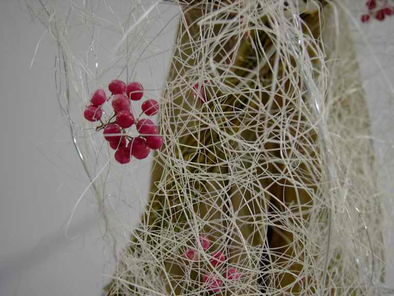 �t�����[�h�[���Q�O�O�Q