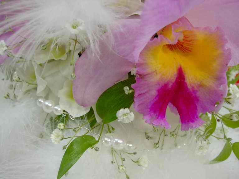 �t�����[�h�[���Q�O�O�Q