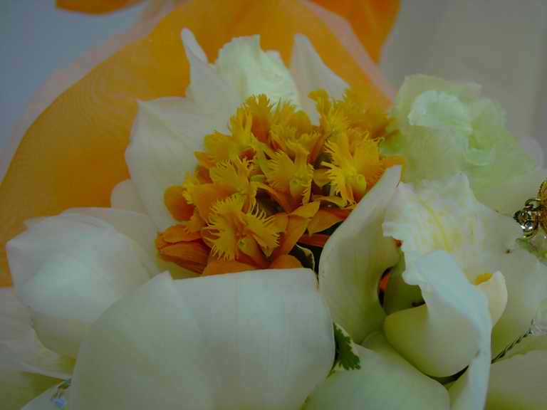 �t�����[�h�[���Q�O�O�Q