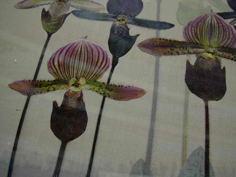 �t�����[�h�[���Q�O�O�Q