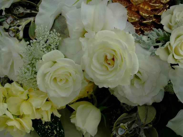 �t�����[�h�[���Q�O�O�Q