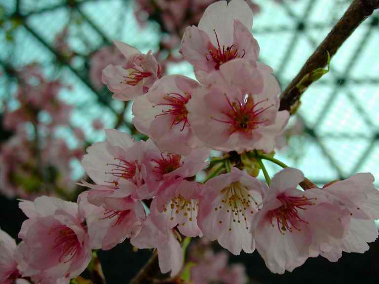 �t�����[�h�[���Q�O�O�Q