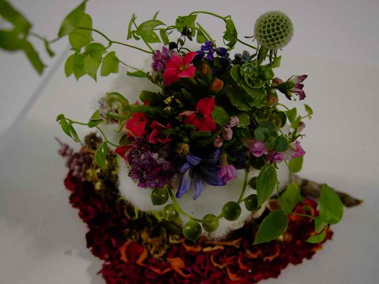 �t�����[�h�[���Q�O�O�Q