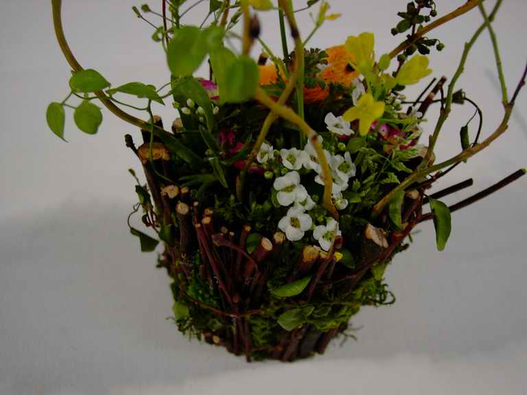 �t�����[�h�[���Q�O�O�Q