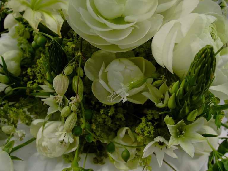 �t�����[�h�[���Q�O�O�Q