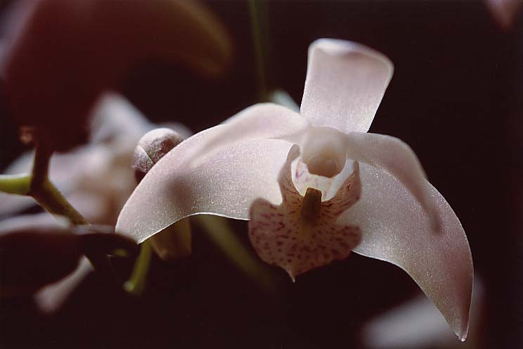 �M���M�A�i��