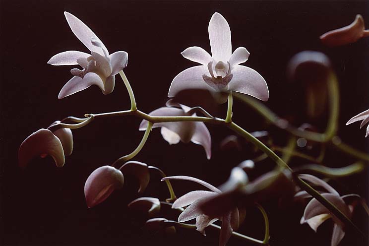 �M���M�A�i��