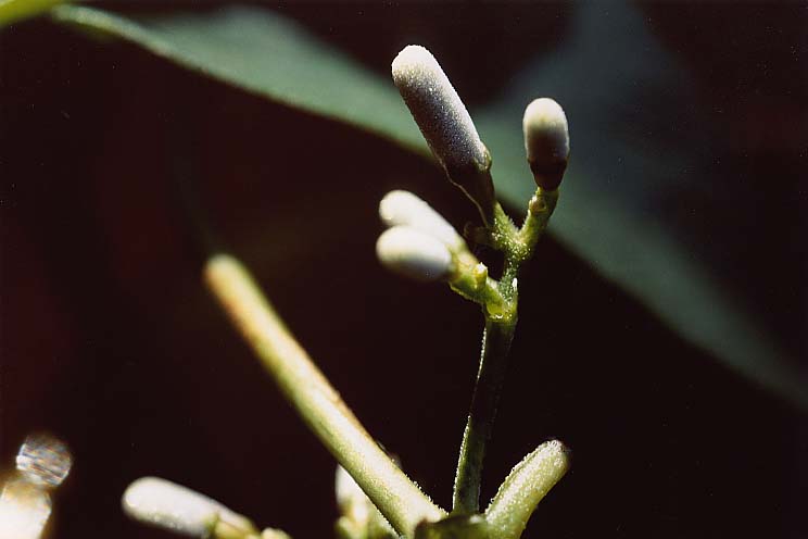 �ւ���������