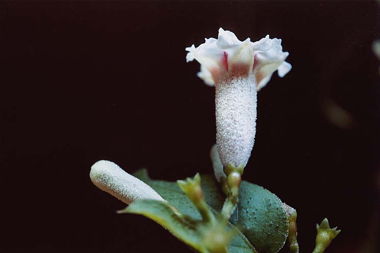 �ւ���������