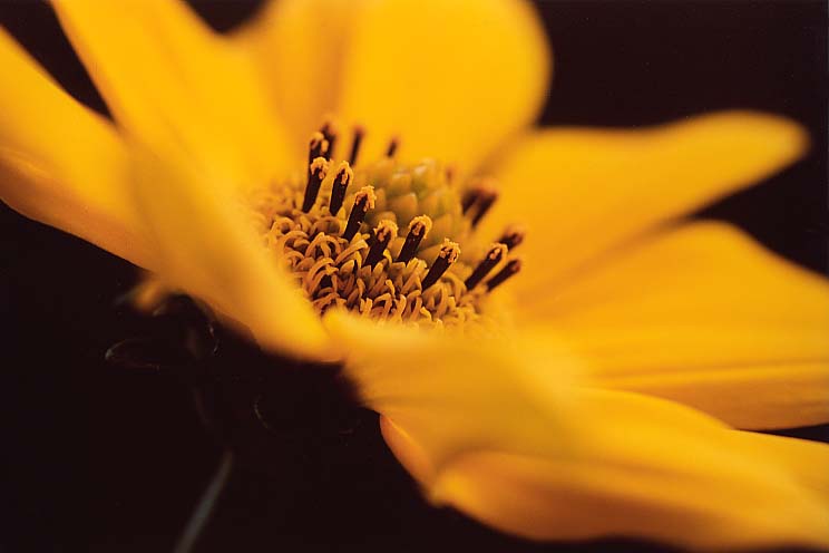 �P������