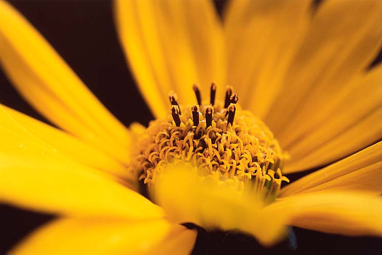 �P������