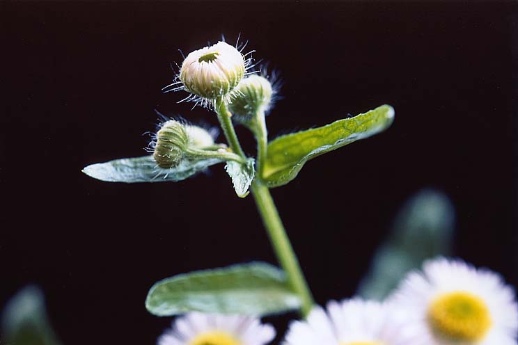 �q���W�I��