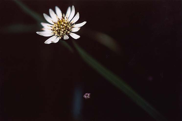 ���킵�났��