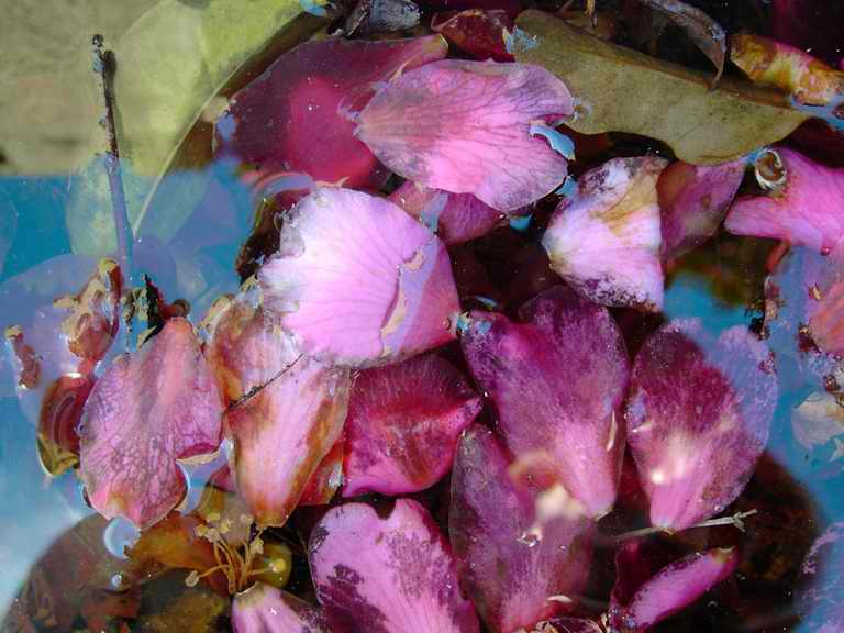 ��..�T�U���J