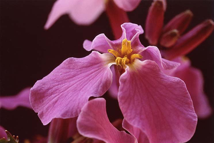 �����T�L�n�i�i