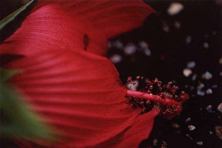 ���݂�������