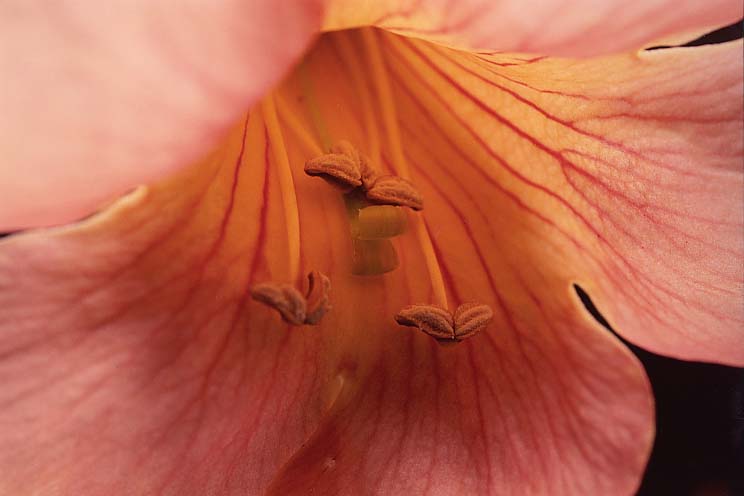 �̂����񂩂���