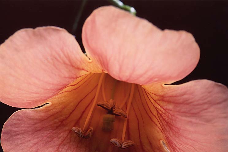 �̂����񂩂���