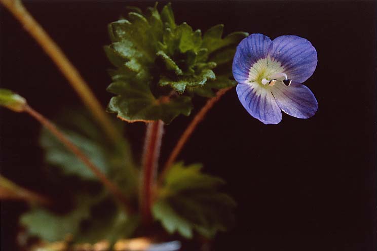 �I�I�C�k�m�t�O��