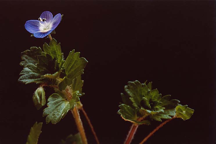 �I�I�C�k�m�t�O��