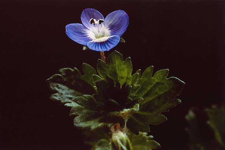 �I�I�C�k�m�t�O��