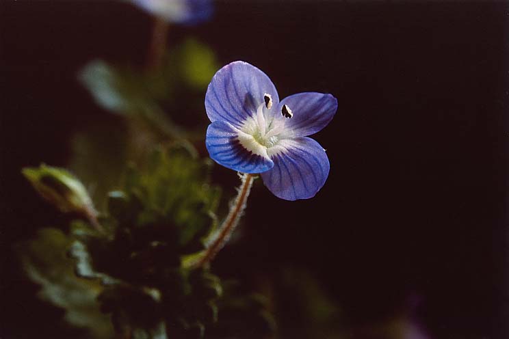 �I�I�C�k�m�t�O��