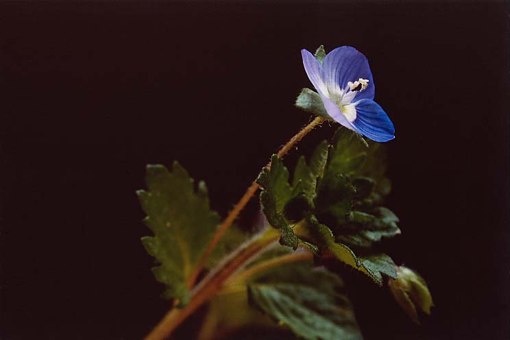 �I�I�C�k�m�t�O��