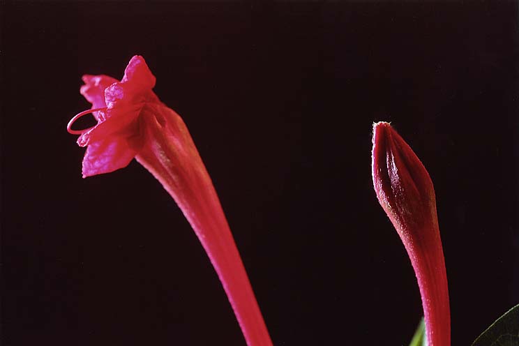 �����낢��