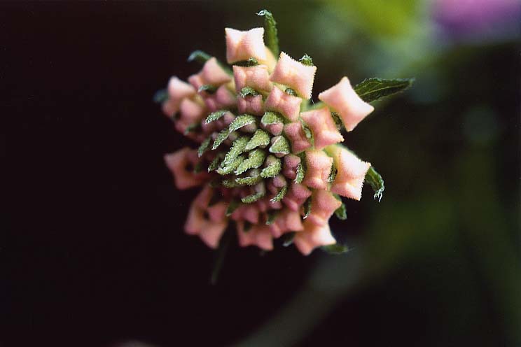 �����^�i