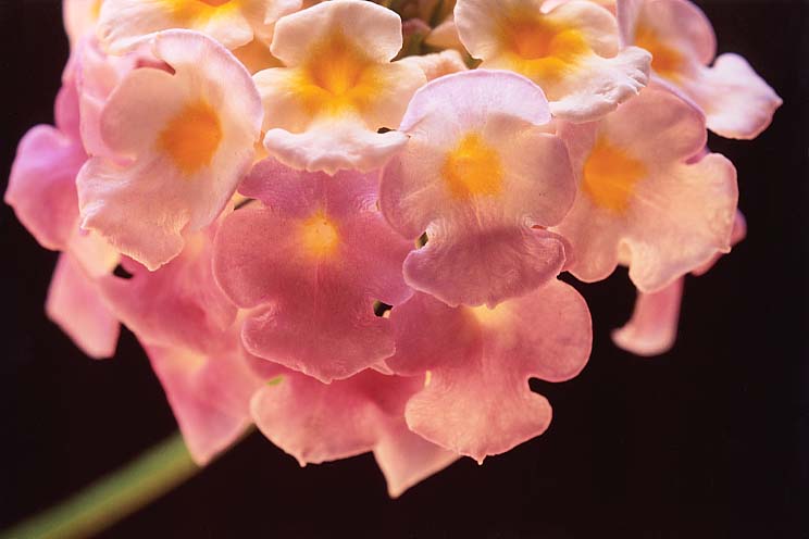 �����^�i