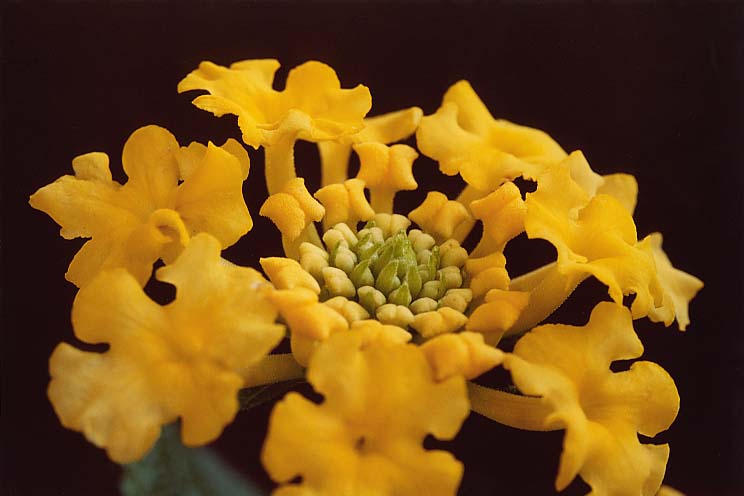 �����^�i