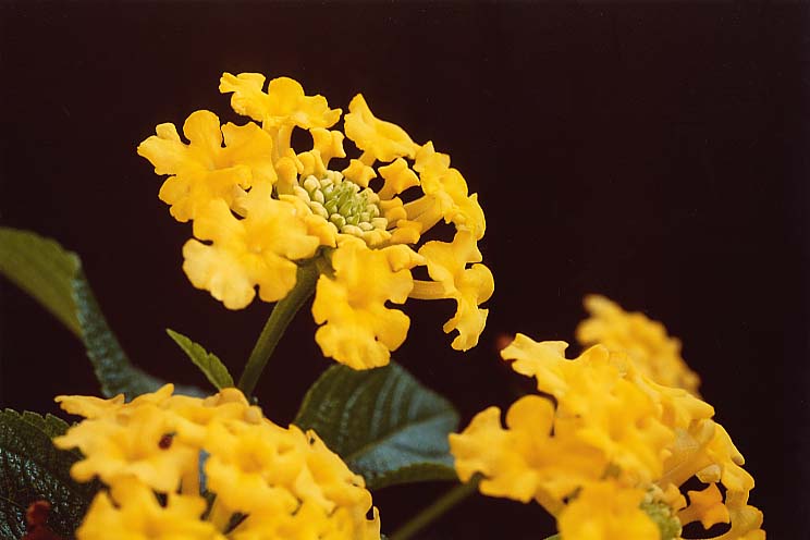 �����^�i