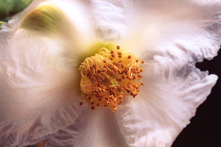 �V�����m�L