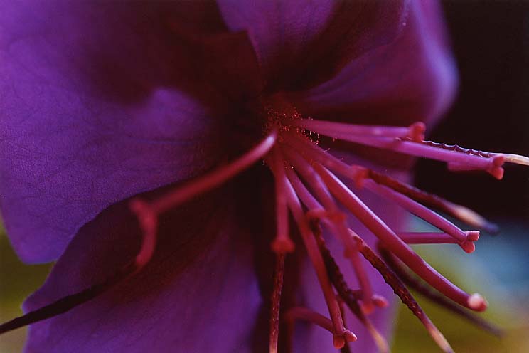 ������ڂ���