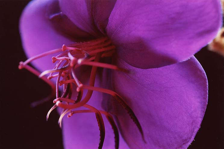 ������ڂ���