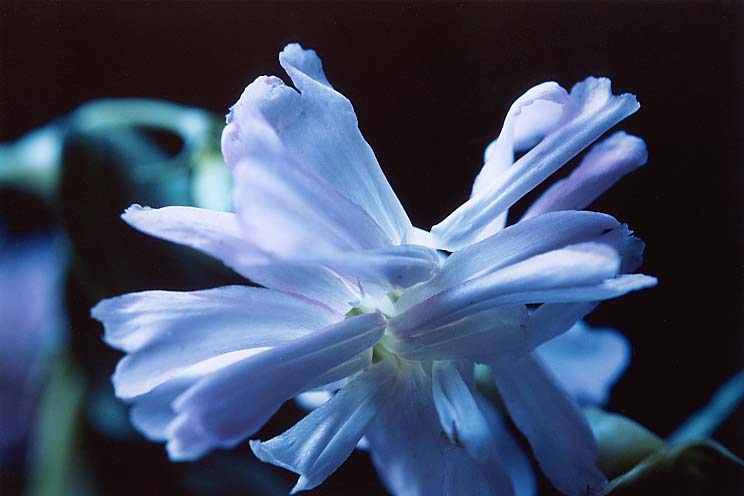 �\�[�v���[�g