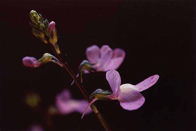 �}�c�o�E������