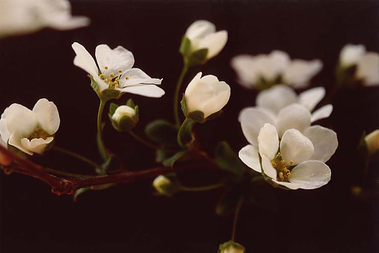 ���L���i�M