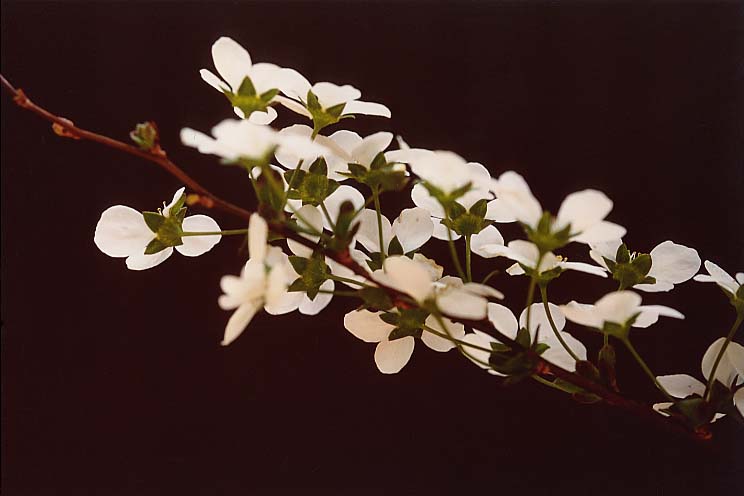 ���L���i�M