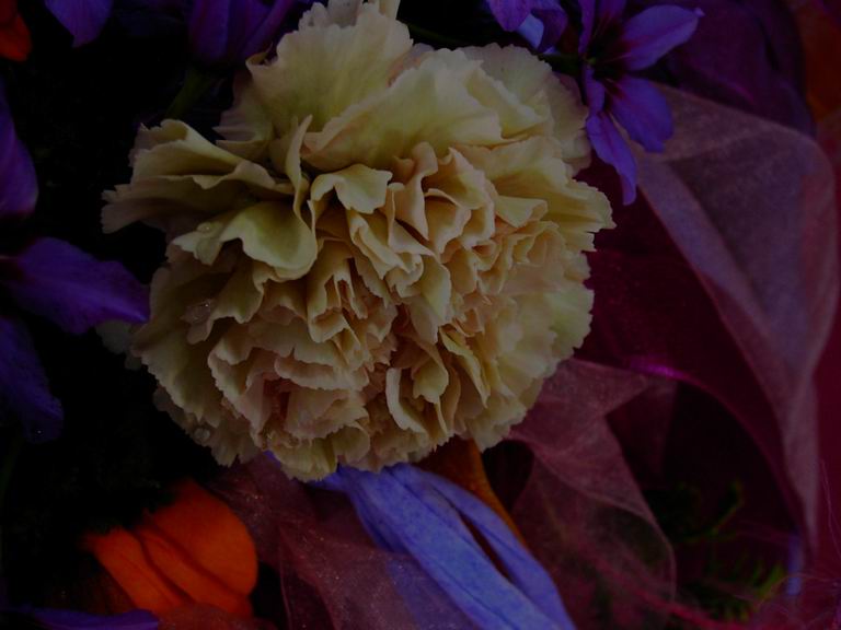 �t�����[�h�[���Q�O�O�R