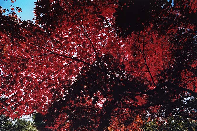 ��..���݂��܂�..�g�t