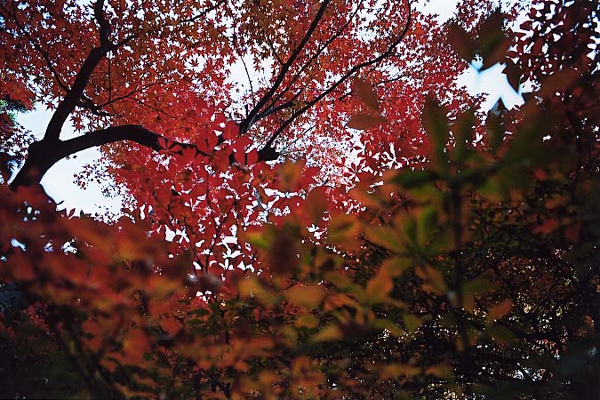 ��..���݂��܂�..�g�t