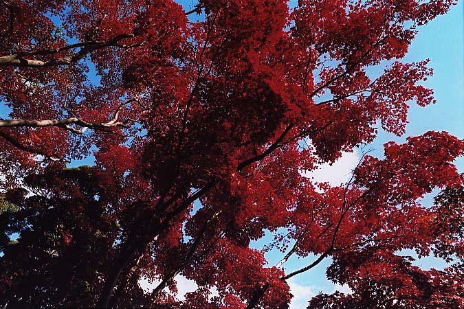 ��..���݂��܂�..�g�t