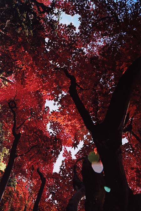 ��..���݂��܂�..�g�t