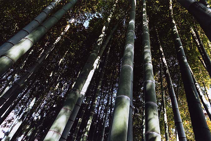 ��..���݂��܂�..�g�t